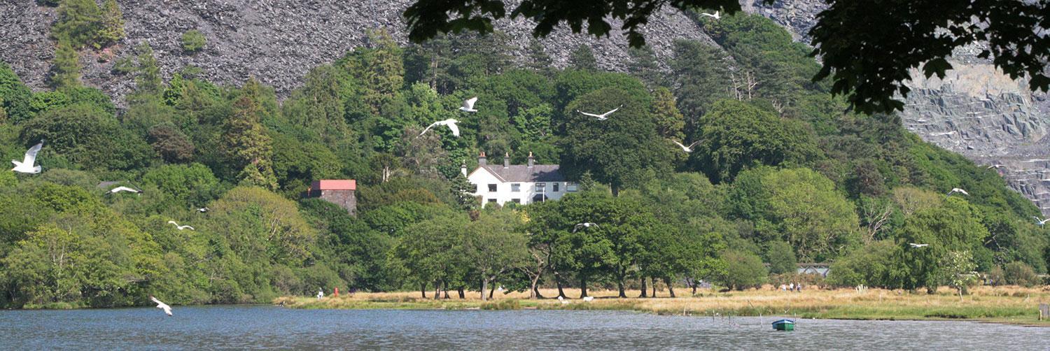 Padarn Apartment At Glanybala Holidays Llanberis Εξωτερικό φωτογραφία